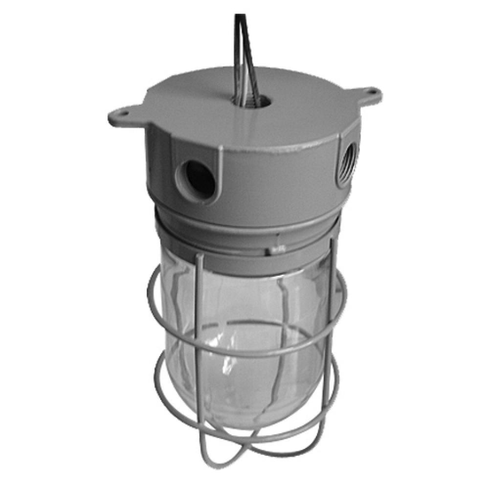 CEIL FIXT 100W/1/2 HUB W/GUARD