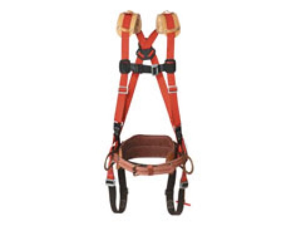 Medium Harness w/ Std-Plus Full-Floating Body Belt (D-to-D Size: 24)