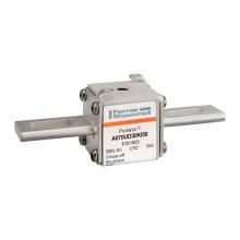 Mersen E301925 - High-Speed Fuse 30 aR 690VAC 50A Striker Slotted