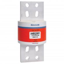 Mersen A4BQ2501 - Fuse A4BQ - Class L - Time-Delay 600VAC 500VDC 2