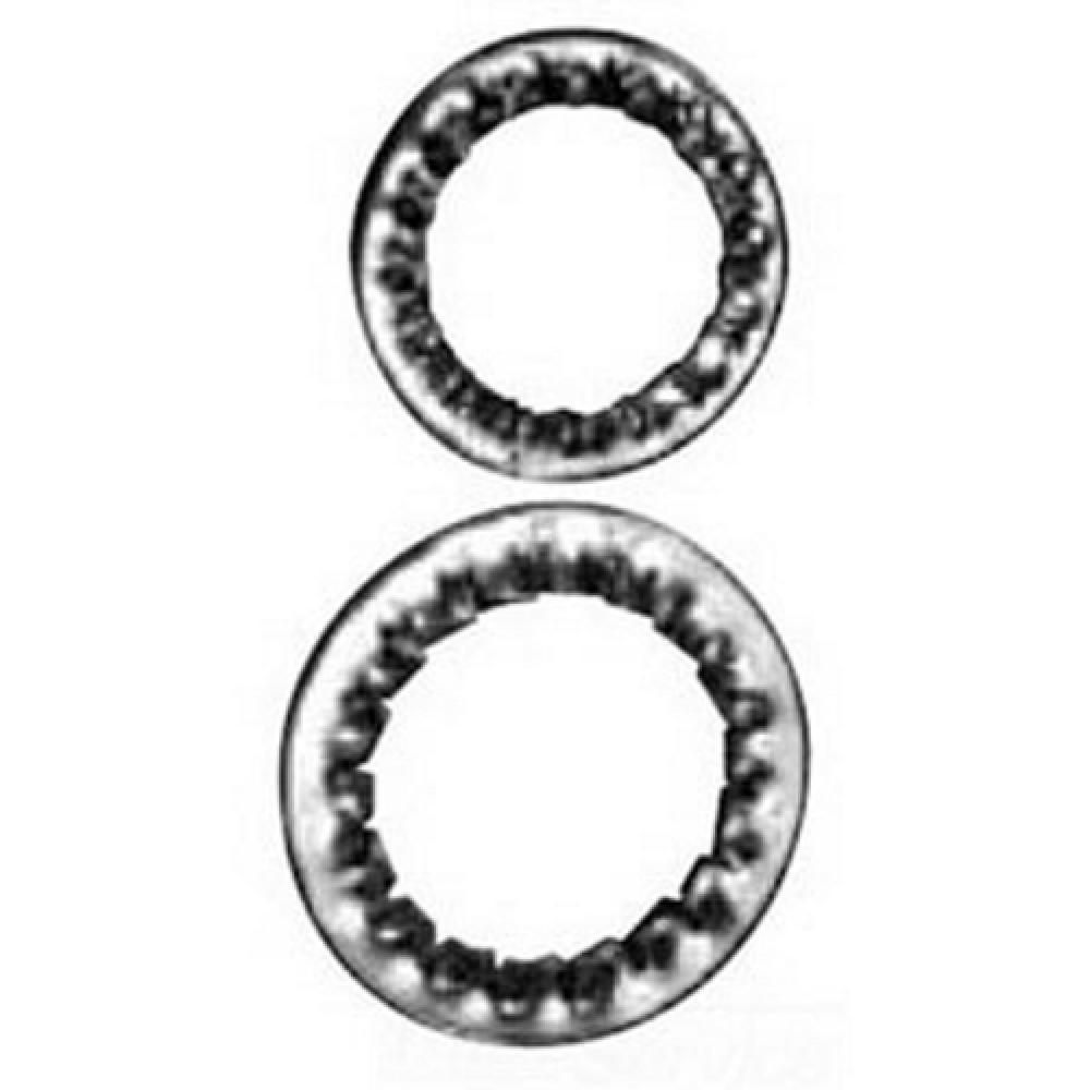 SS SERRATED WASHER 150NPT