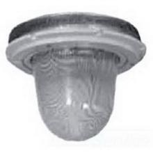 Appleton Electric CGL250 - GLOBE 250W CODEMASTER 2