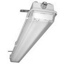 Appleton Electric FRN2C2408SBU - NON-METALLIC FLUORESCENT