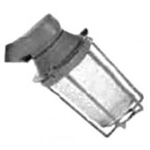 Appleton Electric VPAN10125G - LTG INCAND ENCL & GSKTD FIXT