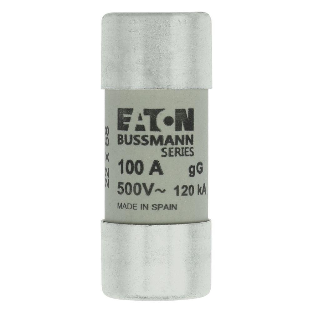 CYLINDRICAL FUSE 22 x 58 100A GG 500V AC