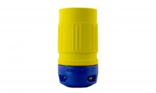 Ericson 2410-C - CONN 20A/125V 2P/3W L5-15R LCK BLD I/D