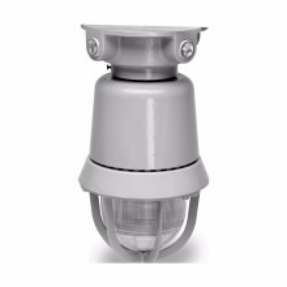 EXPLOSION PROOF STROBE