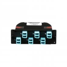 Panduit FC2ZO-12-10AS - OptiCom® MPO-LC Fiber Cassette OM4, 12 Fiber, M