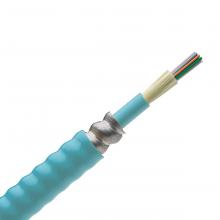 Panduit FOPRX12Y - 12 Fiber Cable, OM3, Indoor Armored TB, Riser, 9
