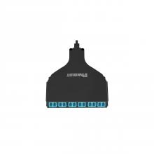 Panduit FQXO-12-10U - QuickNet™ SFQ MPO-LC Cassette, OM3, 12 Fiber,