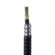 Panduit FOLRZ06 - 6 Fiber Cable, OM4, Indoor/Outdoor Armored TB, R