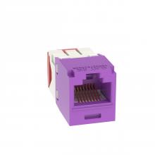 Panduit CJ5E88TGVL-24 - Mini-Com® UTP RJ45 Cat 5e TG Jack Module, Viole