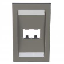 Panduit CFPE2IGY - Mini-Com®, Executive, Faceplate, 2 port, Intern