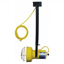 TPI DKL25FLX - 300W Incand Mod Lt w/Flx Arm, Ceil Mtd
