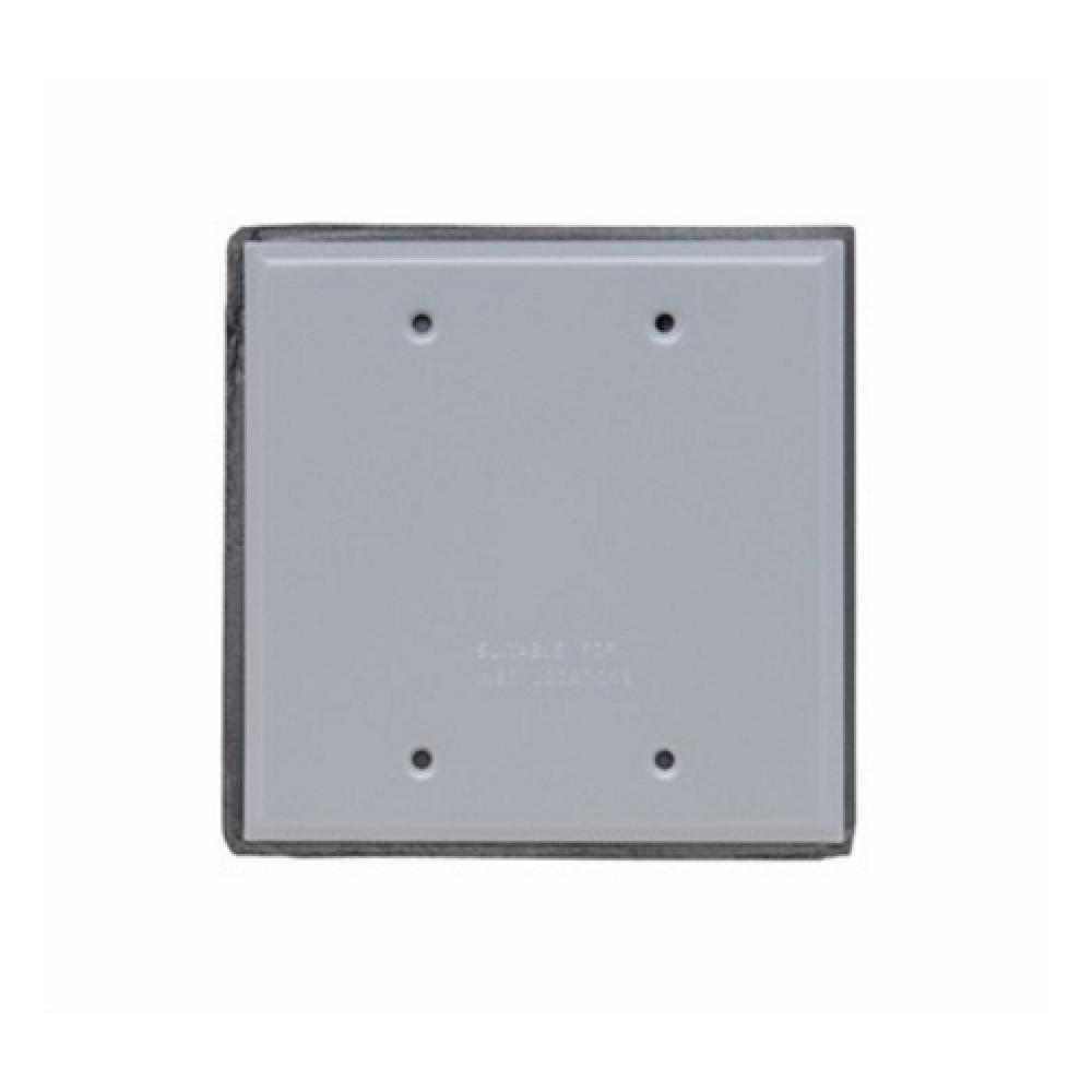 WP COVER 2G BLANK W/GASKET