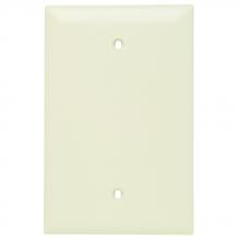 Legrand-Pass & Seymour TPJ13LA - TRADEMASTER WP JUMBO 1G BLANK LA