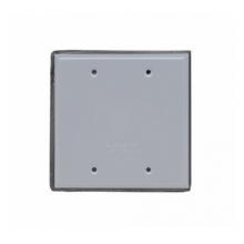 Legrand-Pass & Seymour WPB2 - WP COVER 2G BLANK W/GASKET