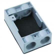 Legrand-Pass & Seymour WPEX6 - 1G EXT RING 4 HOLE 3/4