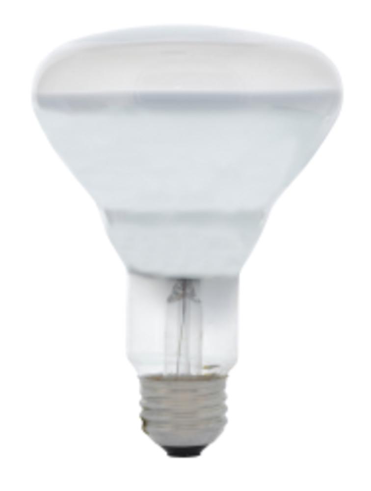 65BR30224RP120V 24/CS 2/SKU