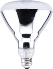 Ledvance LLC - IDW 250BR40/1-120V/14664 - 250BR401 120V 6/CS 1/SKU