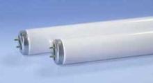 Ledvance LLC - IDW F40/GRO/AQ/WS/RP/24671 - F40GROAQWSRP 6/CS 1/SKU