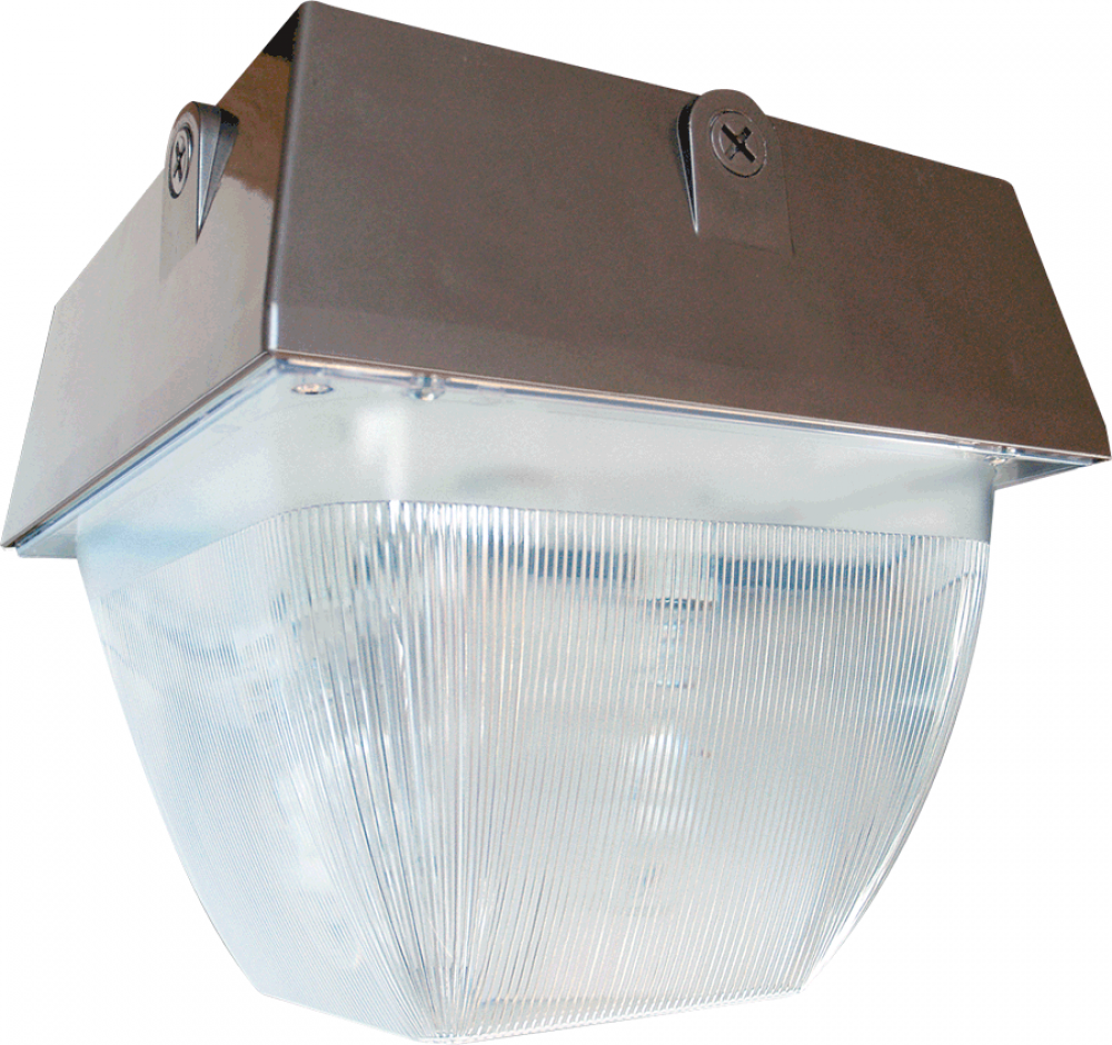 VNDLPRF 12 "X12 " CEILING 100