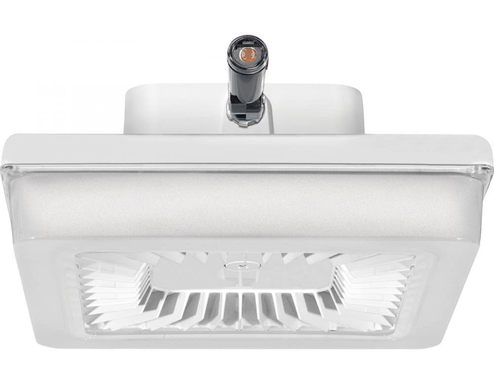 PORTO XL 18IN 70W COOL.120V PCS P