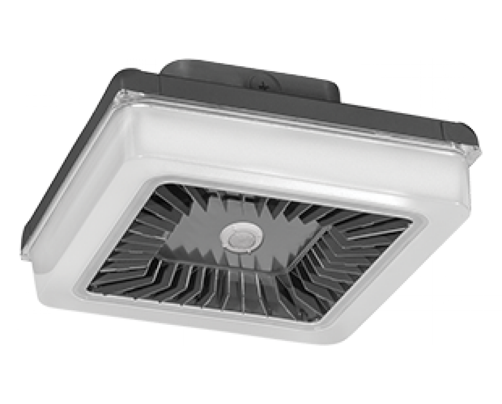 PORTO XL 18IN 70W COOL 120-277 DIM WS