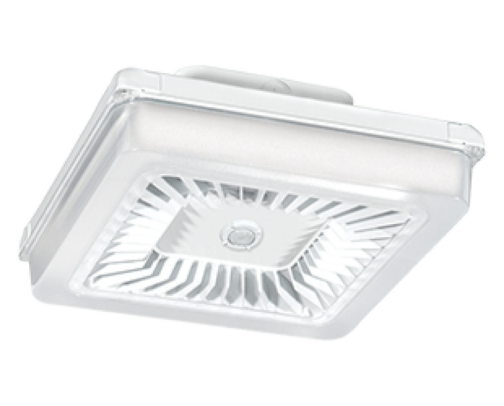 PORTO XL 18IN 70W COOL 120-277 DIM WS WH