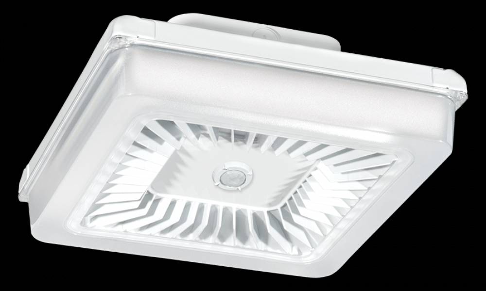 PORTO 14IN 30W COOL 120 277 DIM WAT