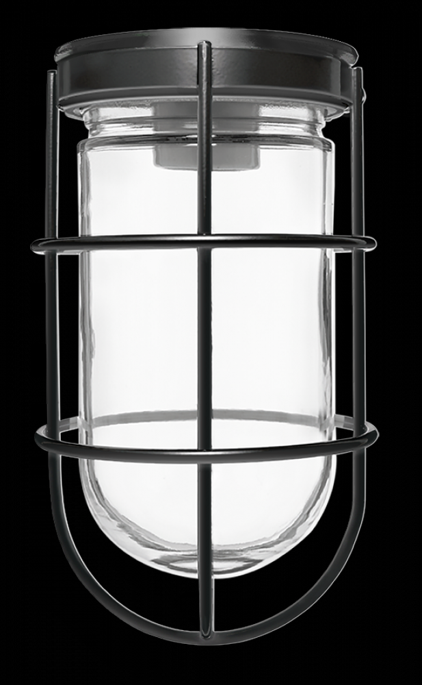 VP 100 CEILING BL W/ GL GLB WIRE GD