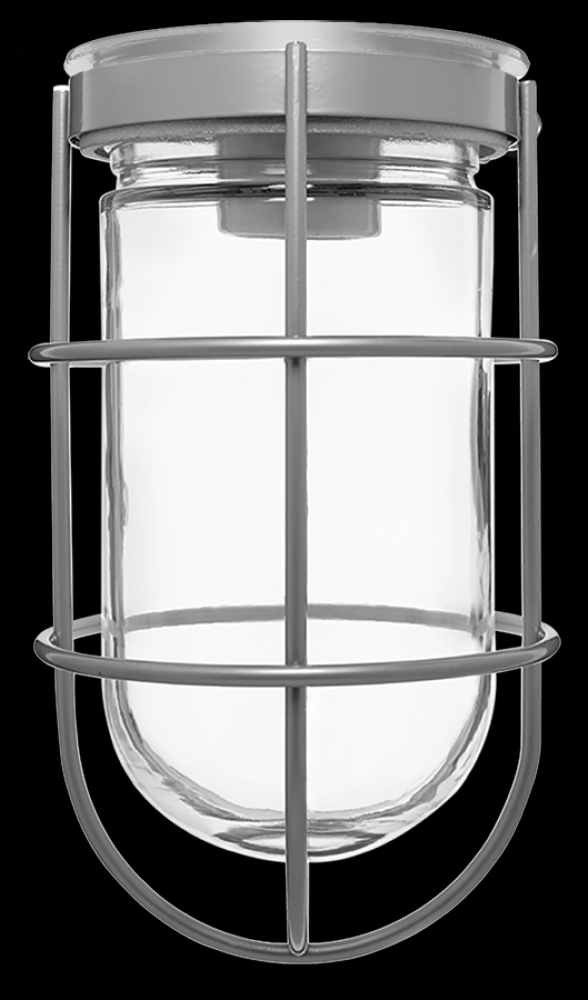 VP 100 CEILING SIL W/ GL GLB WIRE GD