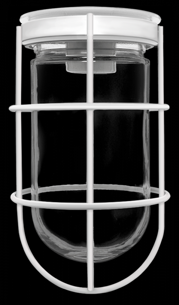 VP 100 CEILING WH W/ GL GLB WIRE GD