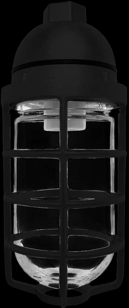 VAPORPROOF 100 PENDANT 1/2 Inch BLACK G