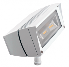 RAB Lighting FFLED18W/PC - FUT.FLOOD 18W COOL LED+120V PC WHIT