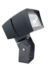 RAB Lighting FFLED26TN/PC - FUT.FLOOD 26W 7X6 120V PC NEUT. TR