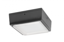 RAB Lighting VANLED10MS - VANLED 10W COOL 120V MINI SENR W/