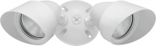 RAB Lighting QB2W - QTZ BULLET KIT 2 X 75W 120V &  LAMP WH