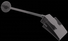RAB Lighting ARMSV24 - ARM 24 Inch WITH ROUNDWALLPATE