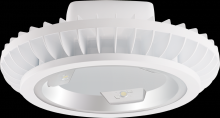 RAB Lighting BAYLED78W - HBAY 78W COOL 3X26W WITH HOOK AND