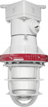 RAB Lighting EX124 - EXPLPROOF INCAN CEILING GUARD 4 HUB