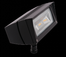 RAB Lighting FFLED18DC - FUT.FLOOD 18W COOL 12V 24V DC BRO