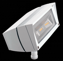 RAB Lighting FFLED18DCW - FUT.FLOOD 18W COOL 12V 24V DC WHI