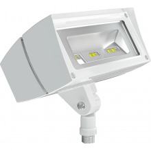 RAB Lighting FFLED18W - FUT.FLOOD 18W COOL 120V TO W