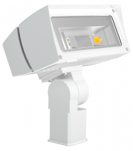 RAB Lighting FFLED39SFW - FUT.FLOOD 39W COOL SF WHI