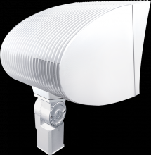 RAB Lighting FXF84SFQTW/PC2 - FX SF 84W CFL QT HPF LAMP+277
