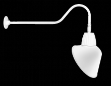 RAB Lighting GN2LED13YACW - GOOSE 35" ARM 13W WARM 15"SADG AC WH