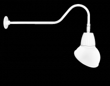 RAB Lighting GN2LED13YAD11W - GOOSE 35" ARM 13W WARM 11" AD WH