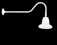 RAB Lighting GN2LED13YST11W - GOOSE 35" ARM 13W WARM 11" ST WH