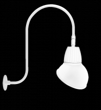RAB Lighting GN3LED13NAD11W - GOOSE UPCR 30" H